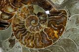Wide Polished Fossil Ammonite Dish - Inlaid Ammonite #137411-1